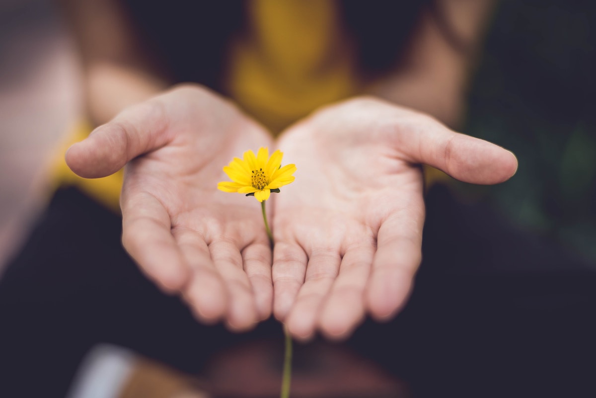 Palmas de manos de mujer con una flor amarilla